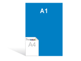 A1 poster